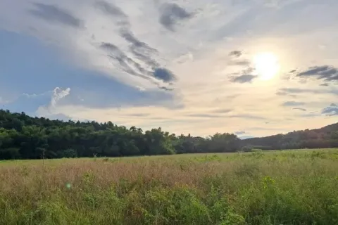 Земельный участок в Чиангмае, Таиланд 1892м2 № 156989 - фото 8