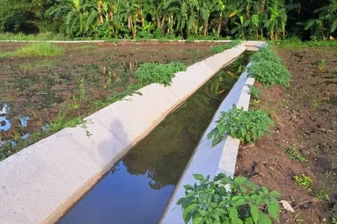 Земельный участок в Чиангмае, Таиланд 1892м2 № 156989 - фото 10