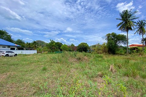 Terrain à Hua Hin, Thaïlande № 168802 - photo 5
