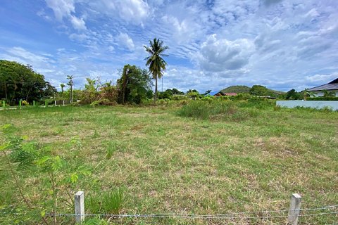 Terrain à Hua Hin, Thaïlande № 168802 - photo 2