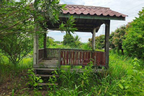 Land in Phitsanulok, Thailand 12800 sq.m. № 171824 - photo 5