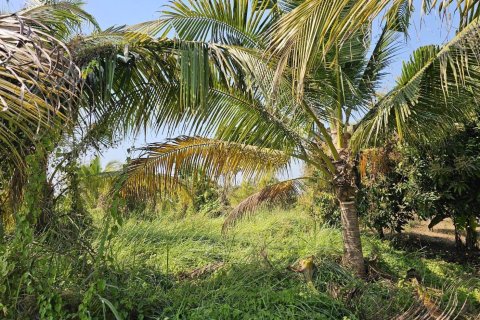 Land in Phitsanulok, Thailand 12800 sq.m. № 171824 - photo 6