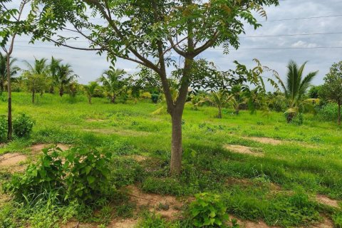 Land in Phitsanulok, Thailand 12800 sq.m. № 171824 - photo 4