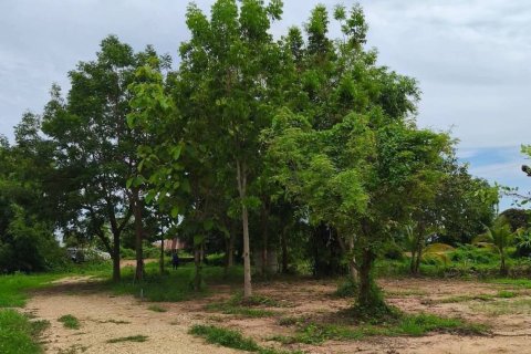 Land in Phitsanulok, Thailand 12800 sq.m. № 171824 - photo 3