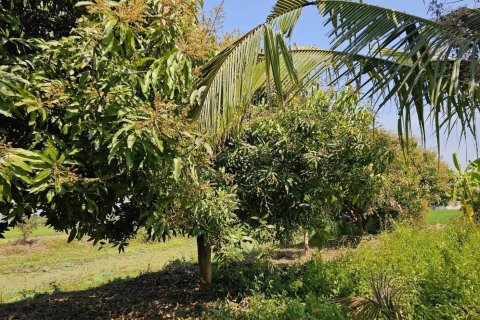 Land in Phitsanulok, Thailand 12800 sq.m. № 171824 - photo 2