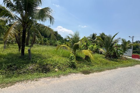 Land in Phuket, Thailand 1936 sq.m. № 173622 - photo 9