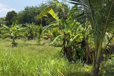 Land in Phuket, Thailand 1936 sq.m. № 173622 - photo 4