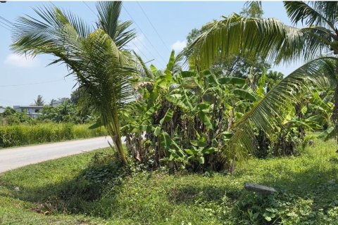 Land in Phuket, Thailand 1936 sq.m. № 173622 - photo 2