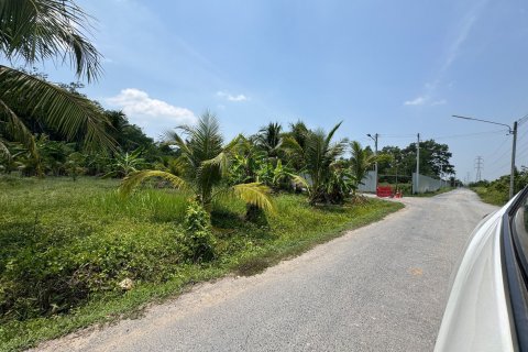 Land in Phuket, Thailand 1936 sq.m. № 173622 - photo 8