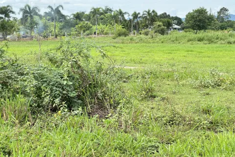 Land in Hua Hin, Thailand 3200 sq.m. № 135496 - photo 5