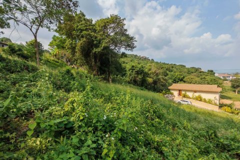 Terrain à Ko Samui, Thaïlande 1600 m2 № 161924 - photo 8