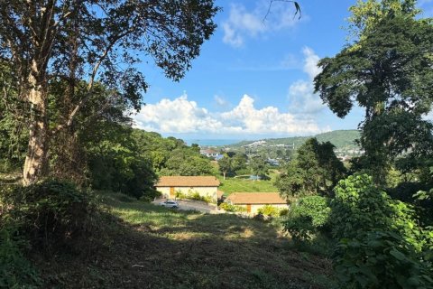 Terrain à Ko Samui, Thaïlande 1600 m2 № 161924 - photo 3