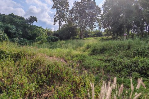 Terrain à Ko Samui, Thaïlande 1600 m2 № 161924 - photo 7