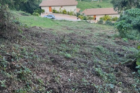 Terrain à Ko Samui, Thaïlande 1600 m2 № 161924