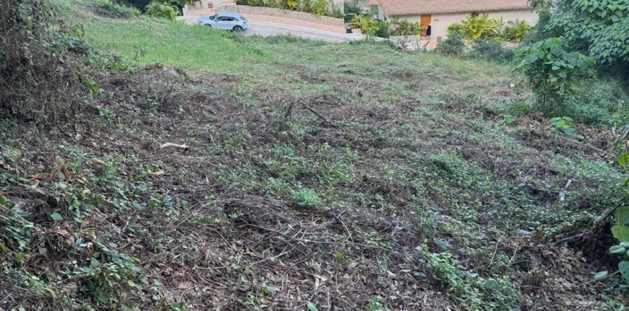 Terrain à Ko Samui, Thaïlande 1600 m2 № 161924