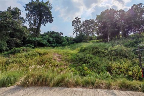 Terrain à Ko Samui, Thaïlande 1600 m2 № 161924 - photo 13