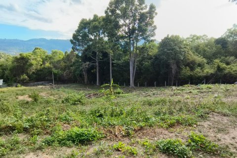 Land on Chaweng Beach, Ko Samui, Thailand 16200 sq.m. № 180133 - photo 2