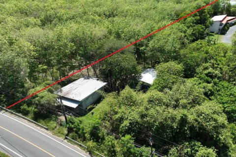 Terrain à Pa Klok, Thaïlande 48000 m2 № 170539 - photo 13