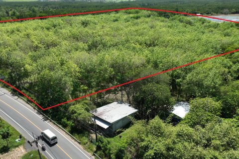 Terrain à Pa Klok, Thaïlande 48000 m2 № 170539 - photo 14