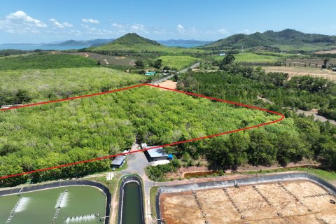 Terrain à Pa Klok, Thaïlande 48000 m2 № 170539 - photo 12