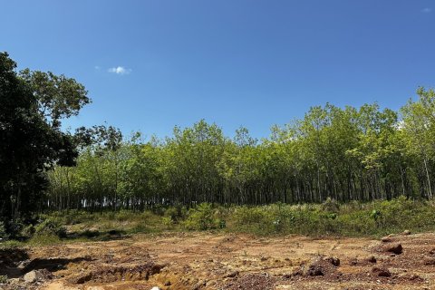 Terrain à Pa Klok, Thaïlande 48000 m2 № 170539 - photo 3