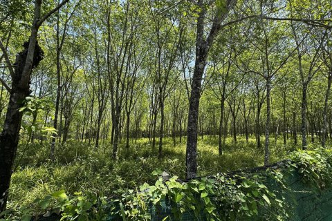 Terrain à Pa Klok, Thaïlande 48000 m2 № 170539 - photo 7