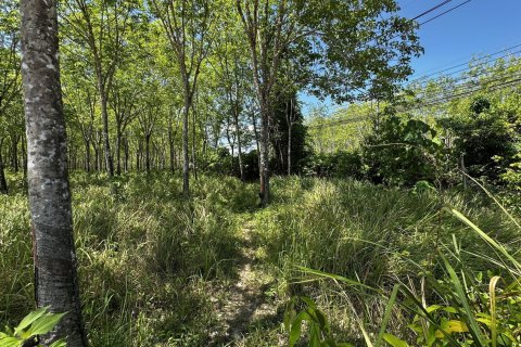 Terrain à Pa Klok, Thaïlande 48000 m2 № 170539 - photo 8