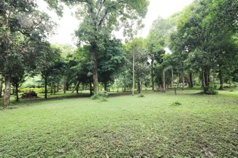 Terrain à Loei, Thaïlande 16000 m2 № 163417 - photo 11