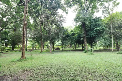 Terrain à Loei, Thaïlande 16000 m2 № 163417 - photo 10