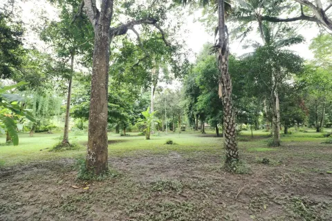 Terrain à Loei, Thaïlande 16000 m2 № 163417 - photo 12