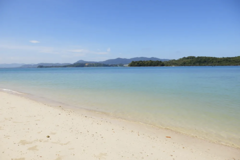 Land in Pa Klok, Thailand 57600 sq.m. № 163416