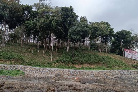 Land in Pa Klok, Thailand 57600 sq.m. № 163416 - photo 9