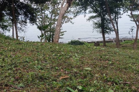 Land in Pa Klok, Thailand 57600 sq.m. № 163416 - photo 6