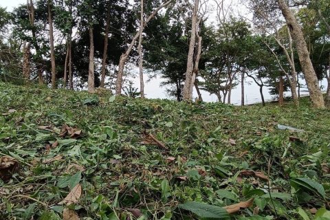 Land in Pa Klok, Thailand 57600 sq.m. № 163416 - photo 8