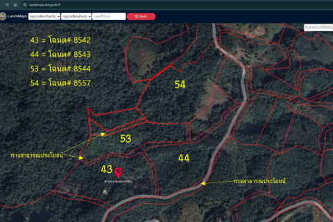 Земельный участок в Нане, Таиланд 124800м2  № 142224 - фото 4