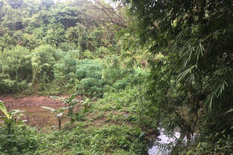 Земельный участок в Нане, Таиланд 124800м2  № 142224 - фото 12