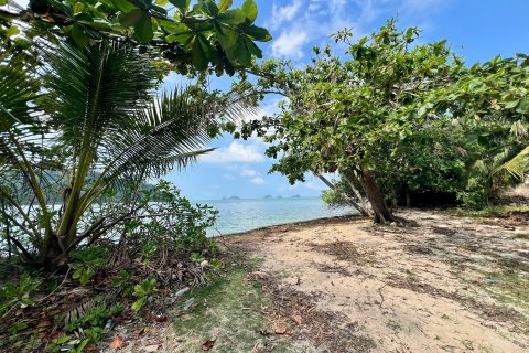 Terrain à Ko Samui, Thaïlande 1000 m2 № 156585 - photo 15