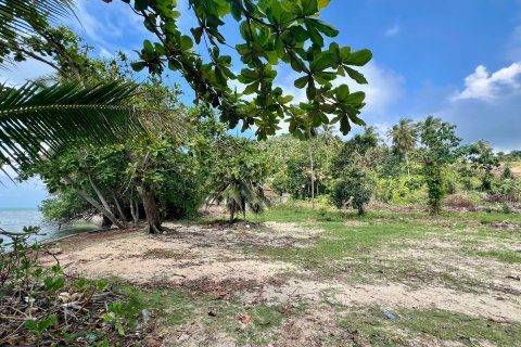 Terrain à Ko Samui, Thaïlande 1000 m2 № 156585 - photo 16