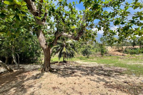 Terrain à Ko Samui, Thaïlande 1000 m2 № 156585 - photo 17