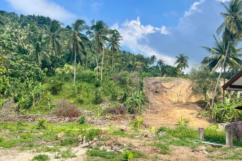 Terrain à Ko Samui, Thaïlande 1000 m2 № 156585 - photo 18