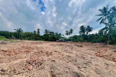 Terrain à Ko Samui, Thaïlande 1000 m2 № 156585 - photo 4
