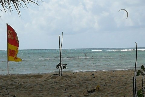 Студия в кондо в Пхукете, Таиланд № 167542 - фото 13