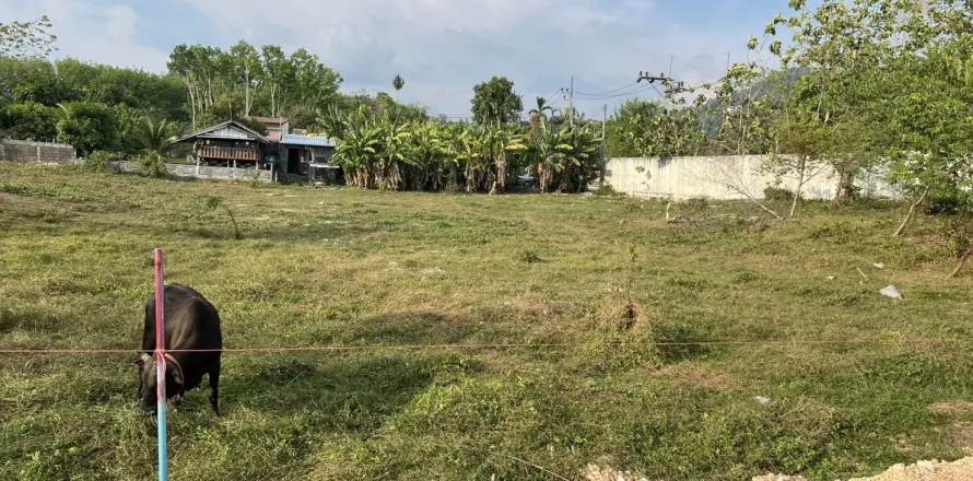 Land in Phuket, Thailand 1600 sq.m. № 167308