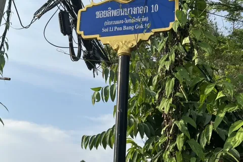 Land in Phuket, Thailand 1600 sq.m. № 167308 - photo 5