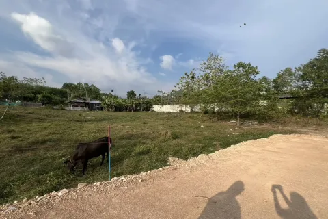 Land in Phuket, Thailand 1600 sq.m. № 167308 - photo 2