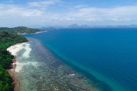 Terrain à Ko Samui, Thaïlande 48000 m2 № 138673 - photo 2