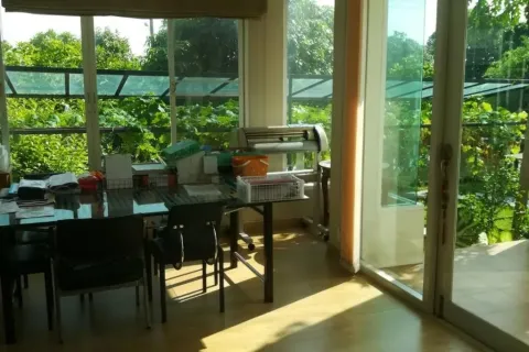 House in Saphan Sung, Bangkok, Thailand 5 bedrooms № 167743 - photo 13