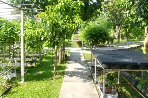 House in Saphan Sung, Bangkok, Thailand 5 bedrooms № 167743 - photo 6