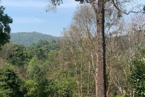 Land in Mae Rim, Thailand 19200 sq.m. № 167745