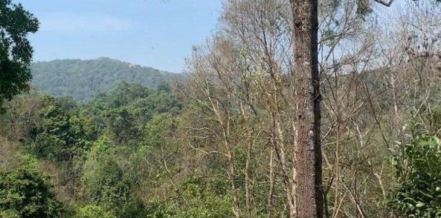 Land in Mae Rim, Thailand 19200 sq.m. № 167745